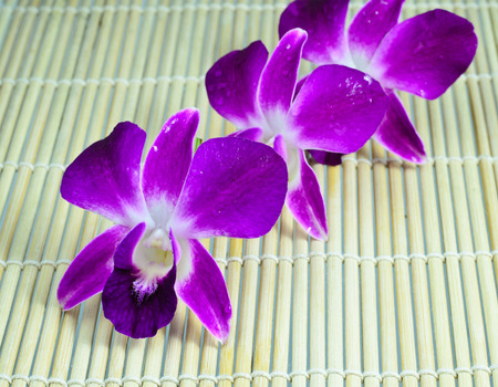 Pink Orchid Flower On wood Backgroundの写真素材