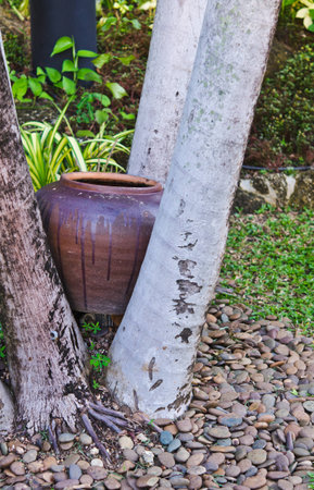 Old jar between the treeの写真素材
