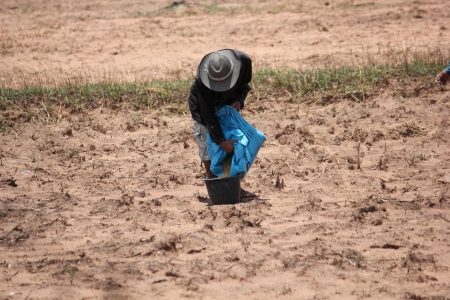 Farmers are farmingの写真素材