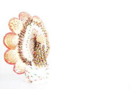 Peacock の写真素材