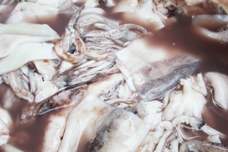 Grilled squidの写真素材