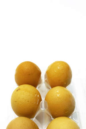Egg