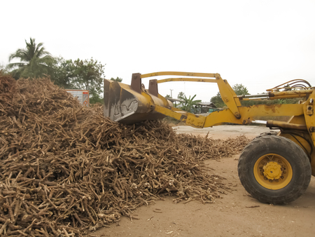 Loaders Loading are pieces of woodの写真素材