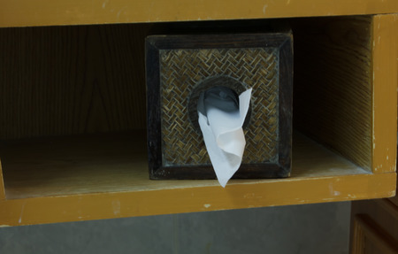Tissue in bathroom