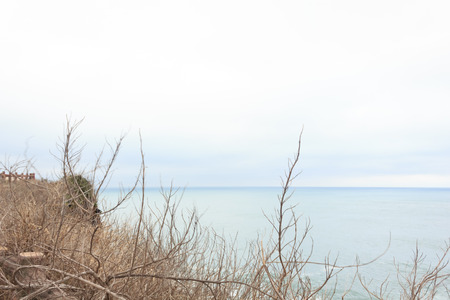 Sea in Winterの写真素材