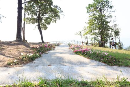 walkway in the park