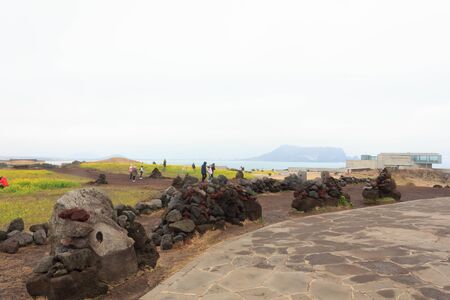 Winter landscapes in Jeju Island  South Koreaの写真素材
