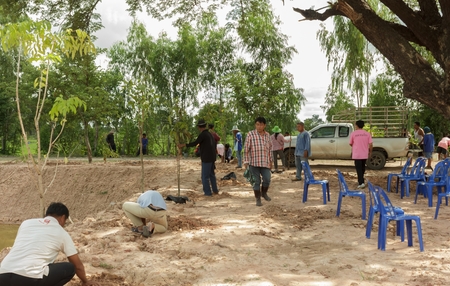 People are planting trees around the ponds.Mahasarakham,Thailand,July 2016のeditorial素材