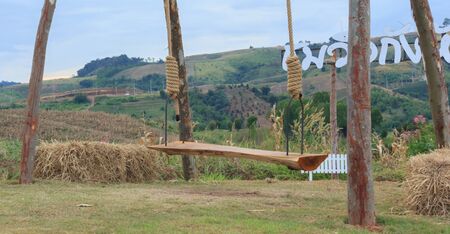 Swings on the mountainの写真素材