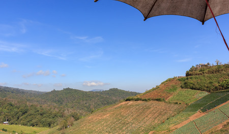 Scenery on Phu Thap Boek In Thailand