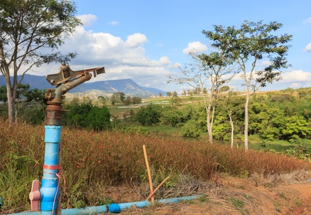 Springer for garden watering.の写真素材