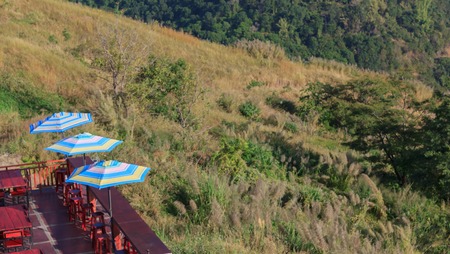 Colorful umbrellas on the mountain.の写真素材
