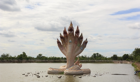 Naga statue in the temple of Thailand.の写真素材