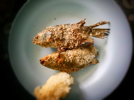 Grilled fish in a dish.の写真素材