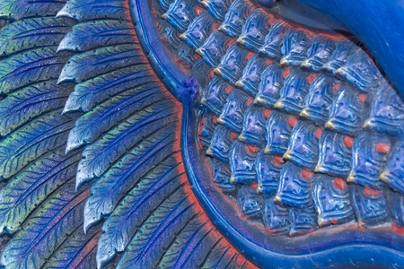 Beautiful abstract patterns