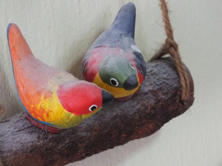 Couple birdsの写真素材