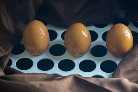 Egg Raw Materials prepare for cooking on block