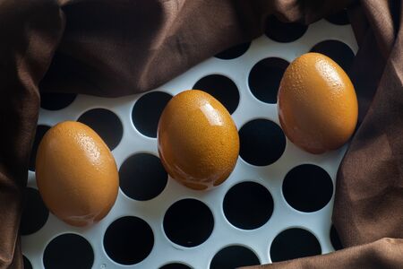 Egg Raw Materials prepare for cooking on blockの写真素材