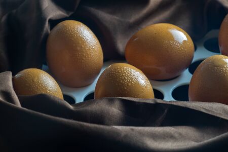 Egg Raw Materials prepare for cooking on blockの写真素材
