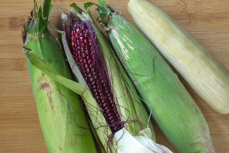 Four Green Corns Raw with Husk and Wood Backgroundの写真素材