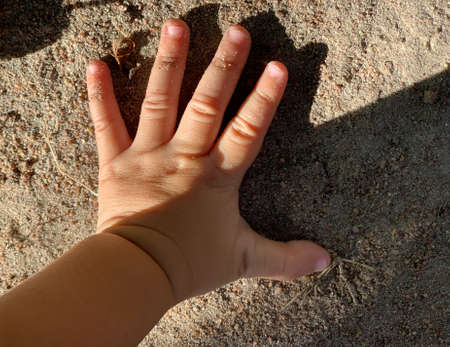 A 1-year adorable Asian kid boy wearing hat portrait standing and holding a white plumeria flower alone in the garden as a headshot closeup, soft backgroundの写真素材