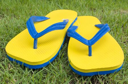 flip flops on the grassの写真素材