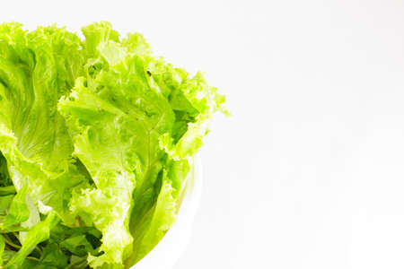 Fresh   beautiful lettuce on white backgroundの写真素材