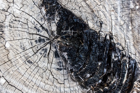 Close-up wooden cut texture with burning frameの写真素材