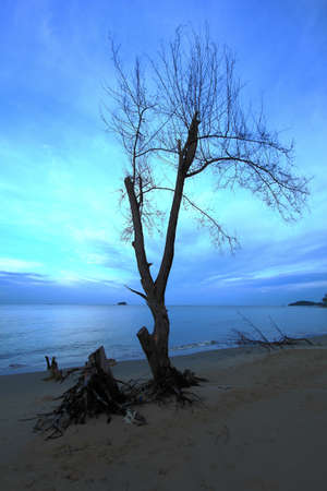seascape of the sea of thailandの写真素材