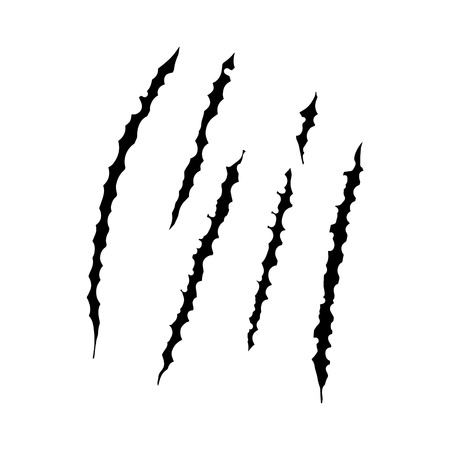 Animal claws scratches, vector illustration design.のイラスト素材