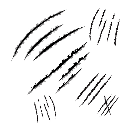 Animal claws scratches, vector illustration design.のイラスト素材