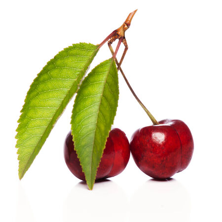 Fresh cherries with leaf isolated on white backgroundの写真素材