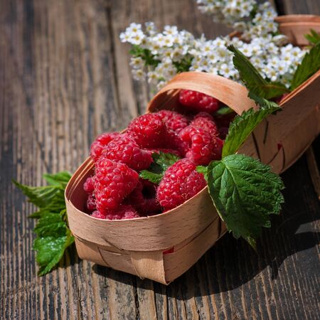 Fresh organic raspberry in basket. Selective focusの写真素材
