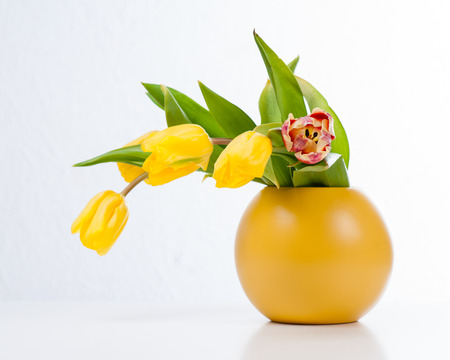 bouquet of colorful tulips in vaseの写真素材