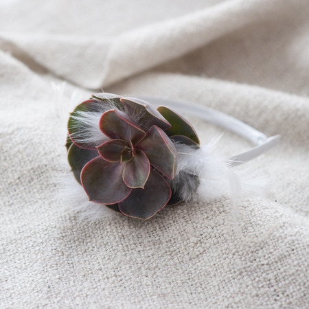 tiara of artificial roses on wooden background.の写真素材