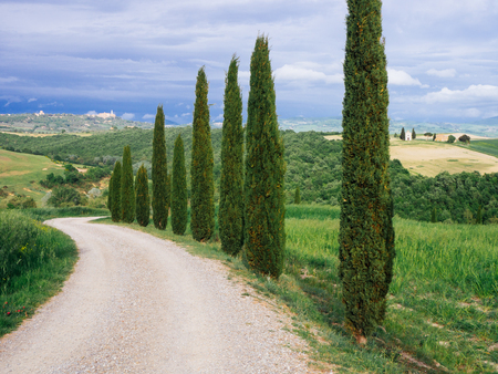 Villa in Tuscany with cypress road and blue sky, idyllic seasonal nature landscape vintage hipster background.の写真素材