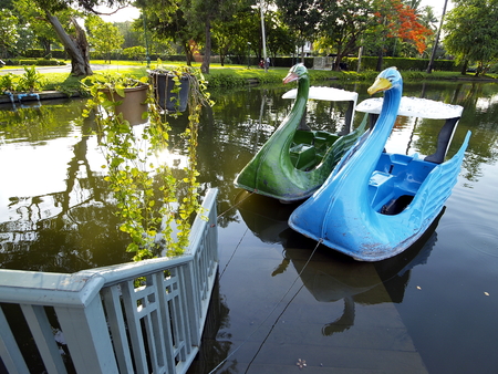 swan pedal boat in the parkの写真素材