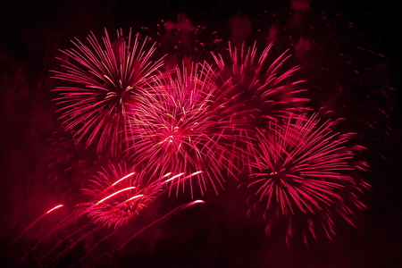 Fireworks light up the skyの写真素材