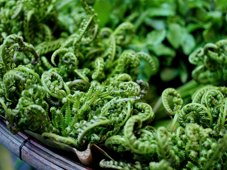 Paco Fernの写真素材