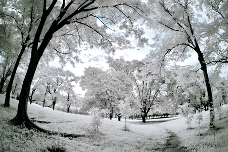 gardenの写真素材