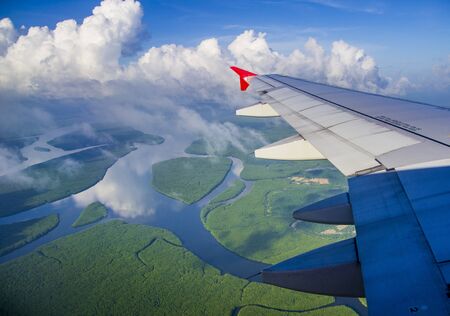 Aerial view of mangrove forestの写真素材
