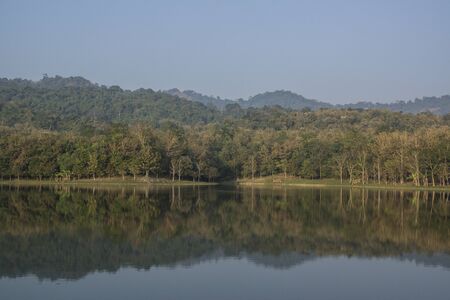 Summer landscape with green forest, river and mountainsの写真素材