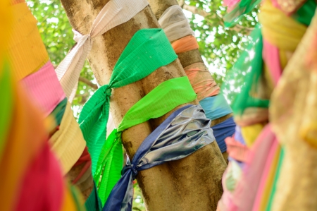 belive thaiの写真素材