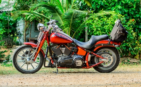 motorcycle stock 5のeditorial素材