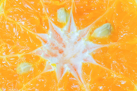 closeup slice of tangerineの写真素材