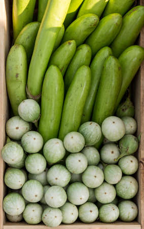 Cucumbers in boxの写真素材
