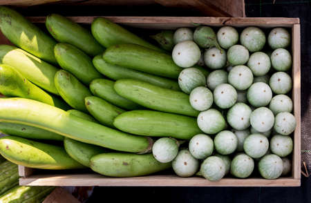 Cucumbers in boxの写真素材