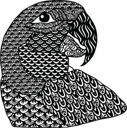 parrotのイラスト素材