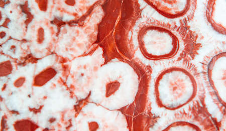 stone textureの写真素材