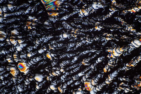 Polarized light crystals